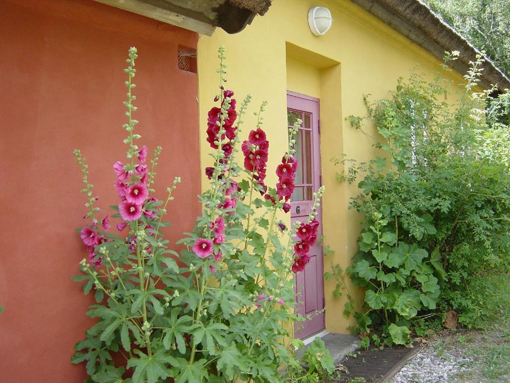 Onkel Enkels Guesthouset